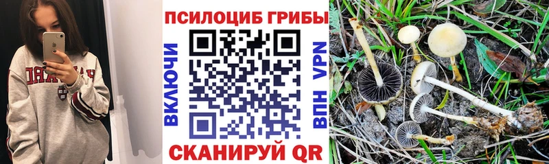 Галлюциногенные грибы мицелий  гидра зеркало  Новопавловск 